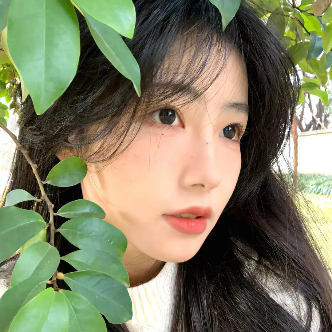 楚留香传奇